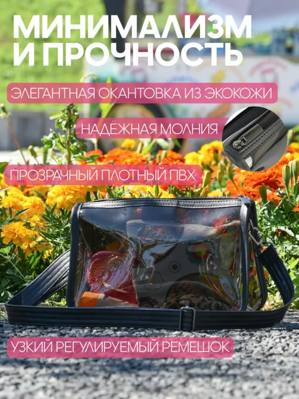 25082012_07 (3) СУМКА ПРОЗРАЧНАЯ ТОНИРОВ. МАЛАЯ 25082012