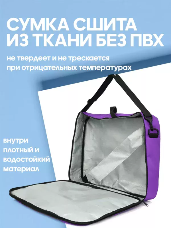 21094021-170 (3) 21094021-170 СУМКА-ПОРТФЕЛЬ Д/ГОРНОЛЫЖНЫХ БОТИНОК